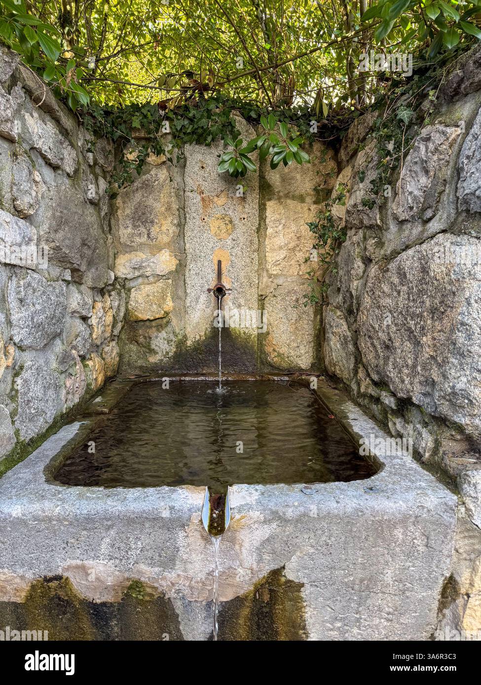 Water flowing mossy stone basin hi-res stock photography and images - Alamy