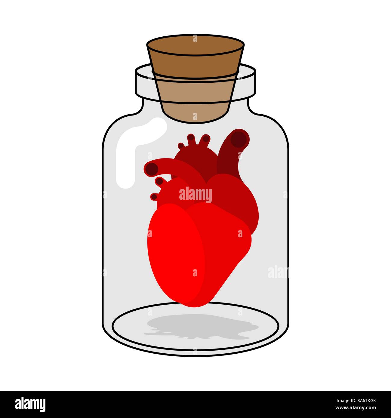 Anatomical Heart  glass jar. Alchemical experiment. Ancient spells. Witch's vessel Stock Vector