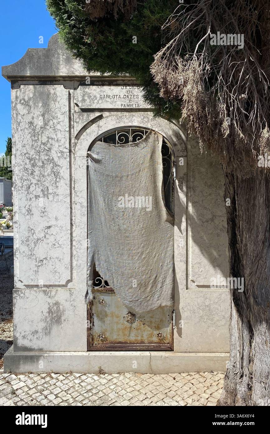 Old abandoned stone crypt in a cemetery. Weathered and mysterious ...