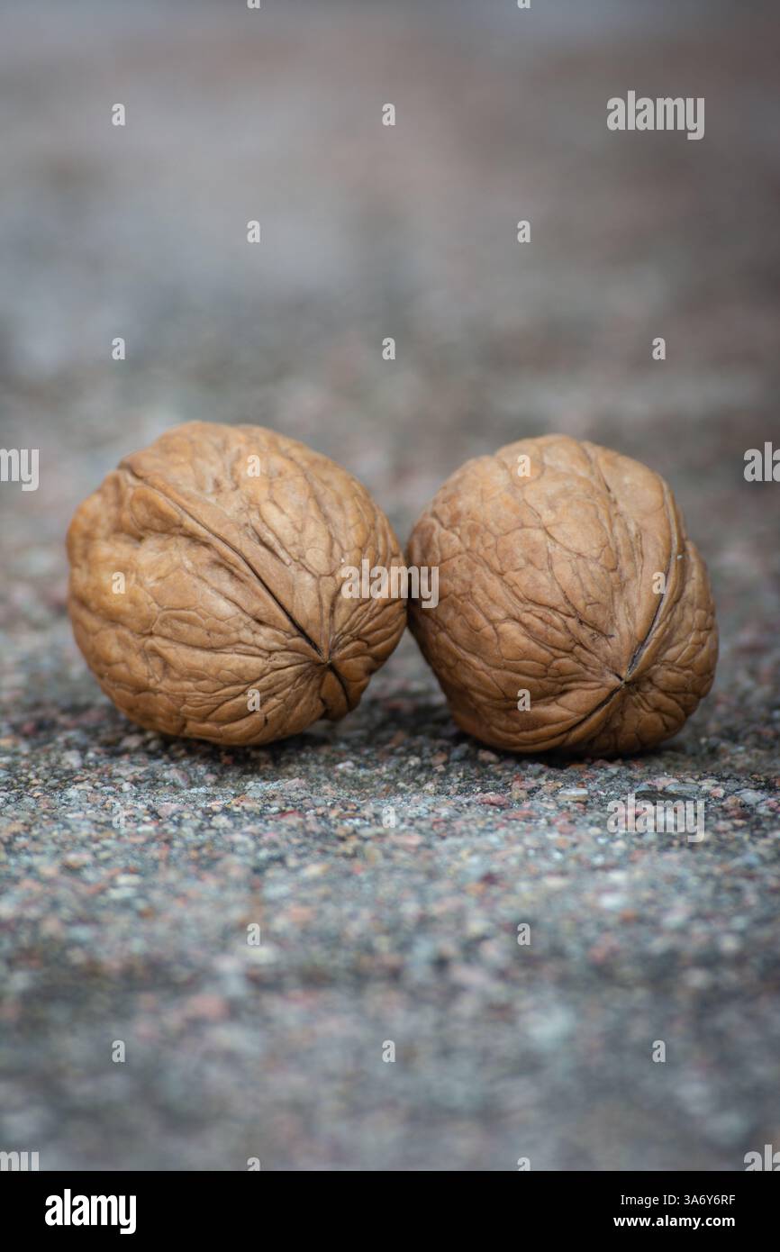 Dry walnuts on cement background Stock Photo