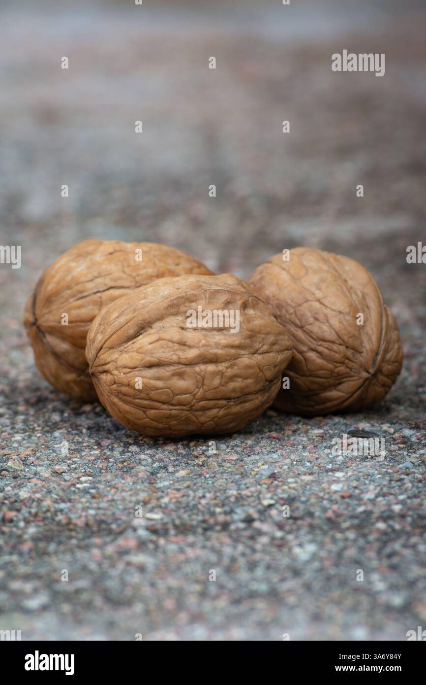 Dry walnuts on cement background Stock Photo