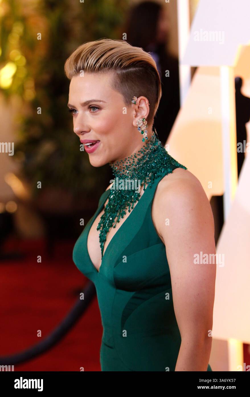 Scarlett Johansson At The Oscars