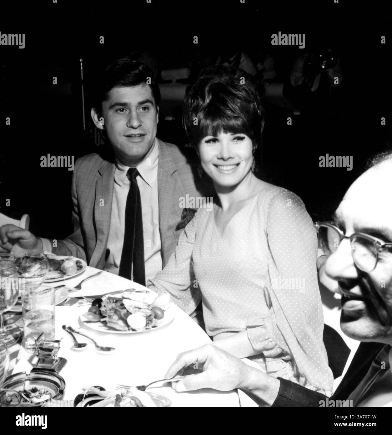 James farentino hi-res stock photography and images - Alamy, image size:1254x1390