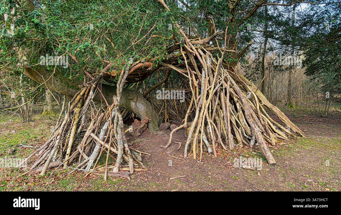 Forest Survival Shelter - Smartphone Captured Stock Image