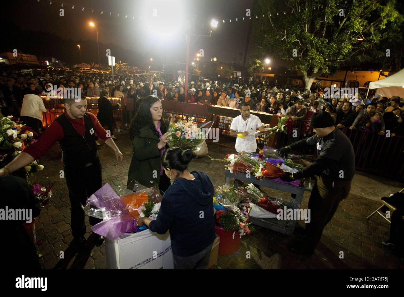 Our Lady Guadalupe - 7675 Our Lady Guadalupe - 7675