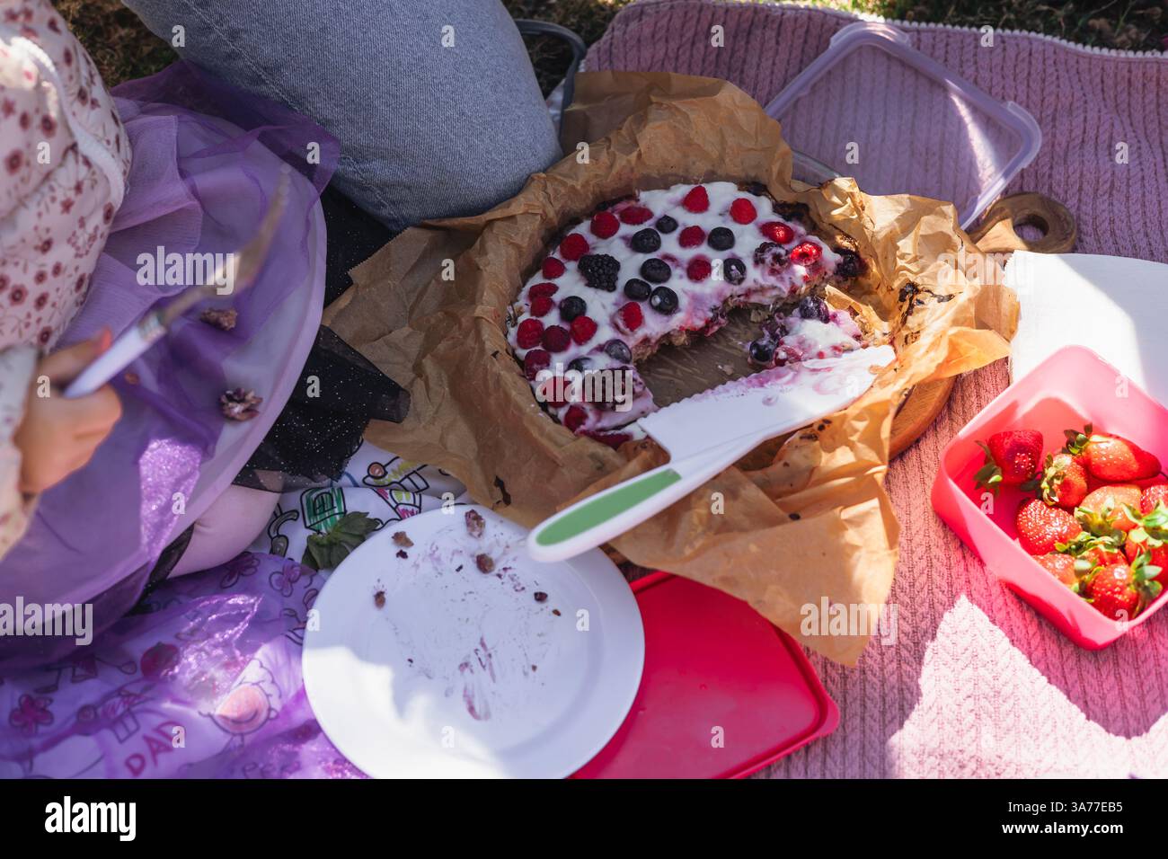 Joyful picnic unfolds family hi-res stock photography and images - Alamy