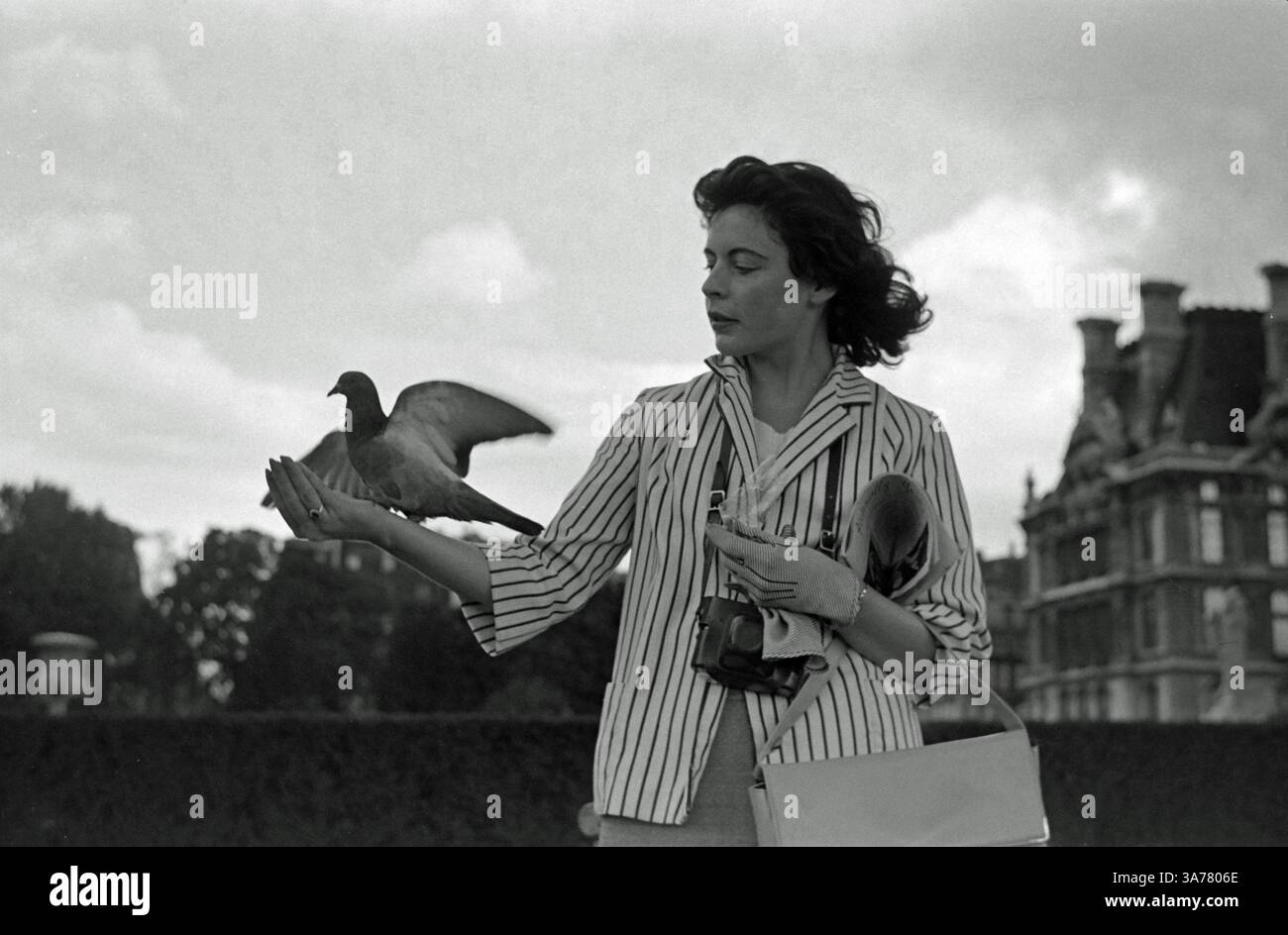 1950s Pigeon Lady Bird Lady stately home England UK Stock Photo