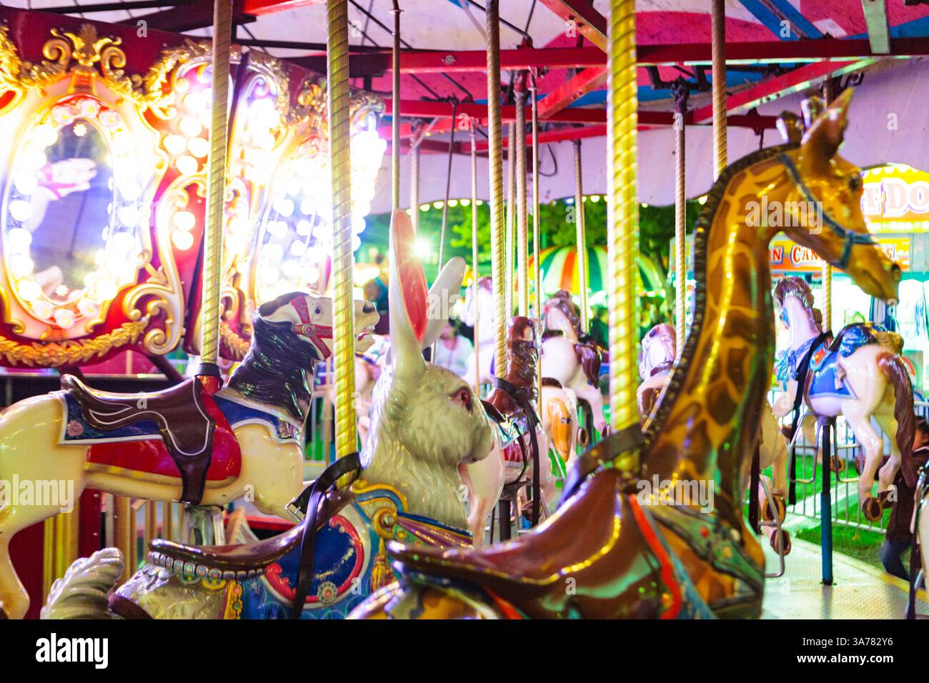 Carousel ride at an amusement park, with carousel horses giraffes and a ...
