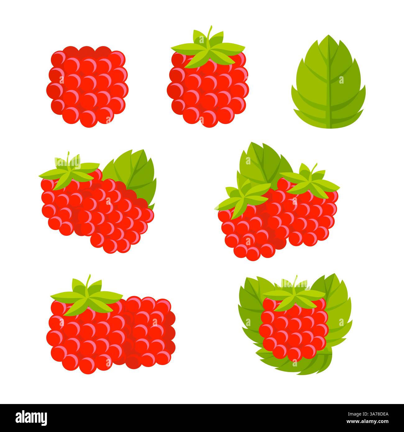 Raspberry Whole and slice. Sweet fruit. Raspberries. Stock Vector