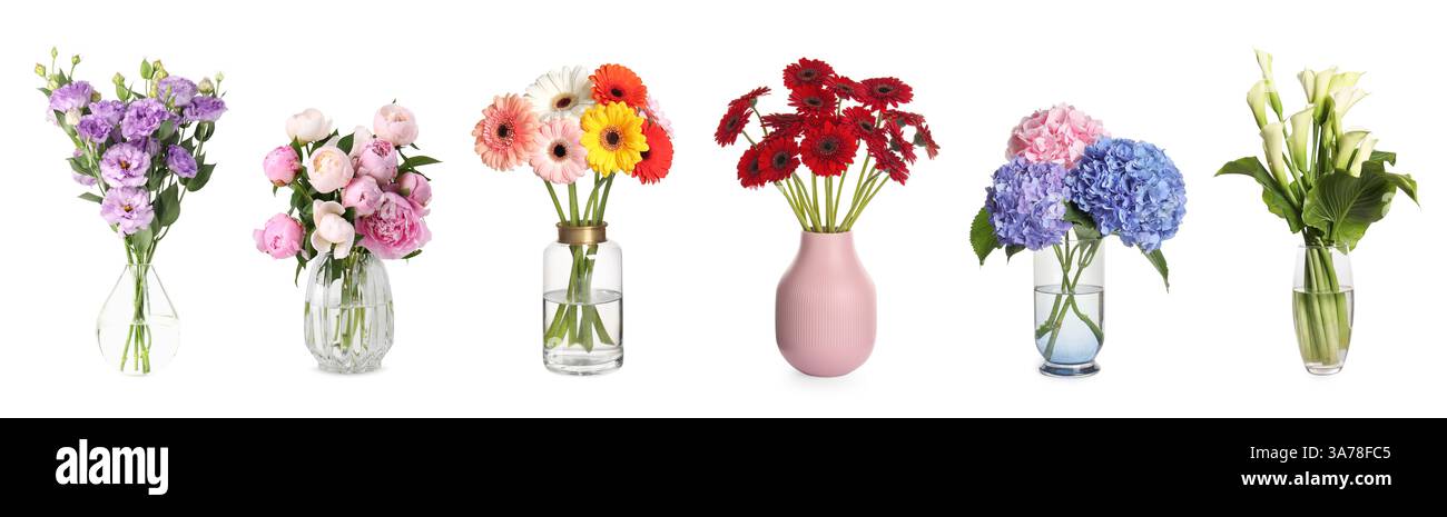 Bouquets of different beautiful flowers in vases isolated on white, set ...