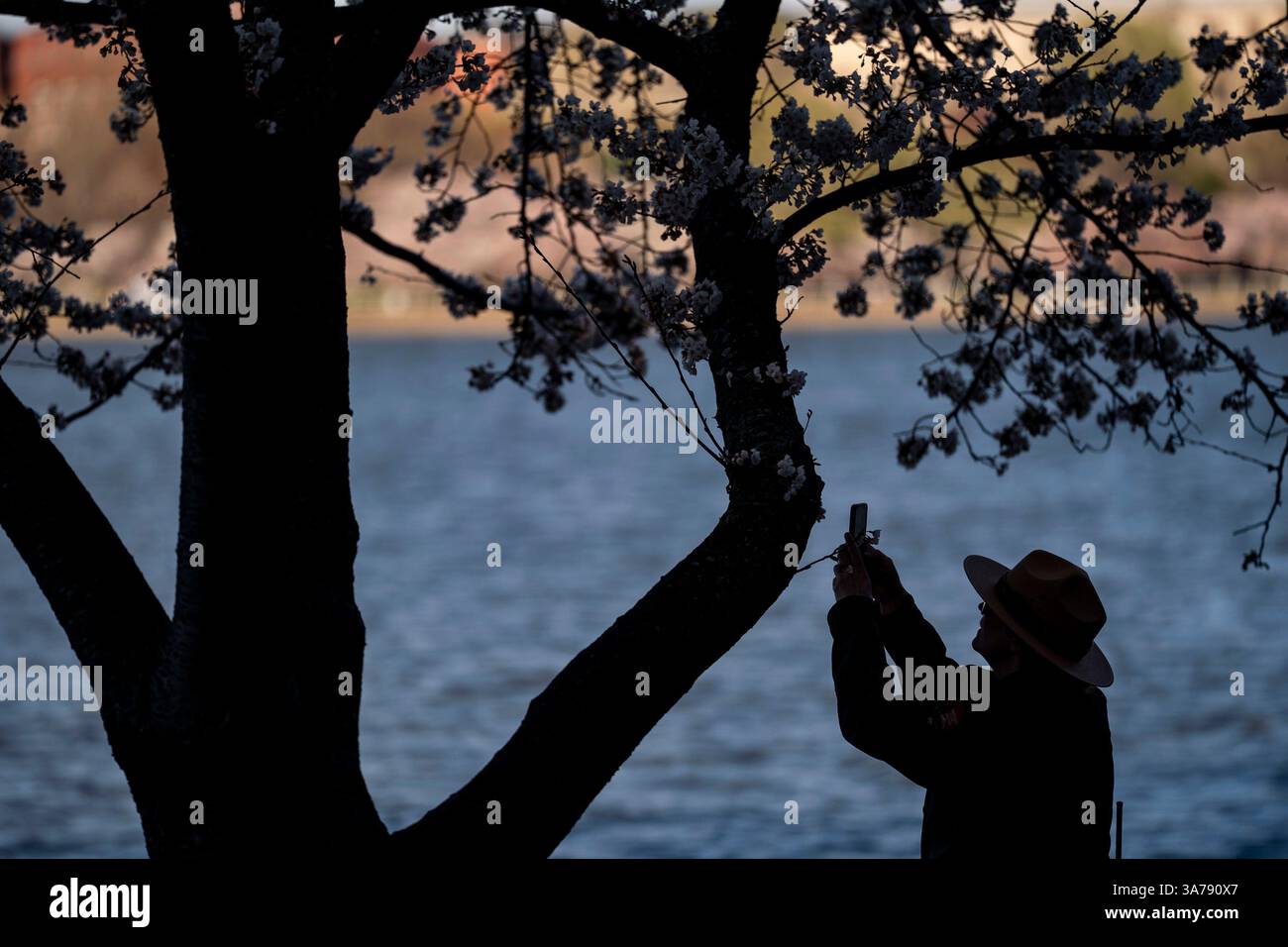 Washington, United States. 26th Mar, 2025. A National Parks Service ...