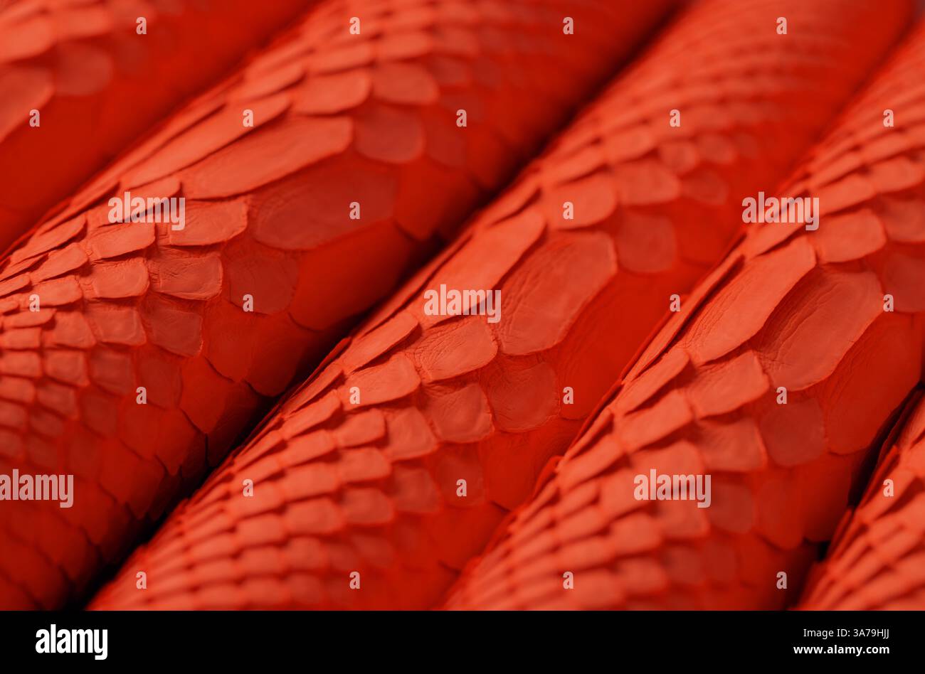 scaly texture of leather background, red luxury python skin Stock Photo