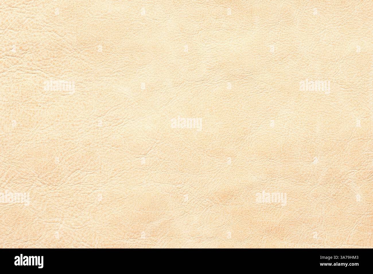 natural leather surface as background. beige leather texture Stock Photo