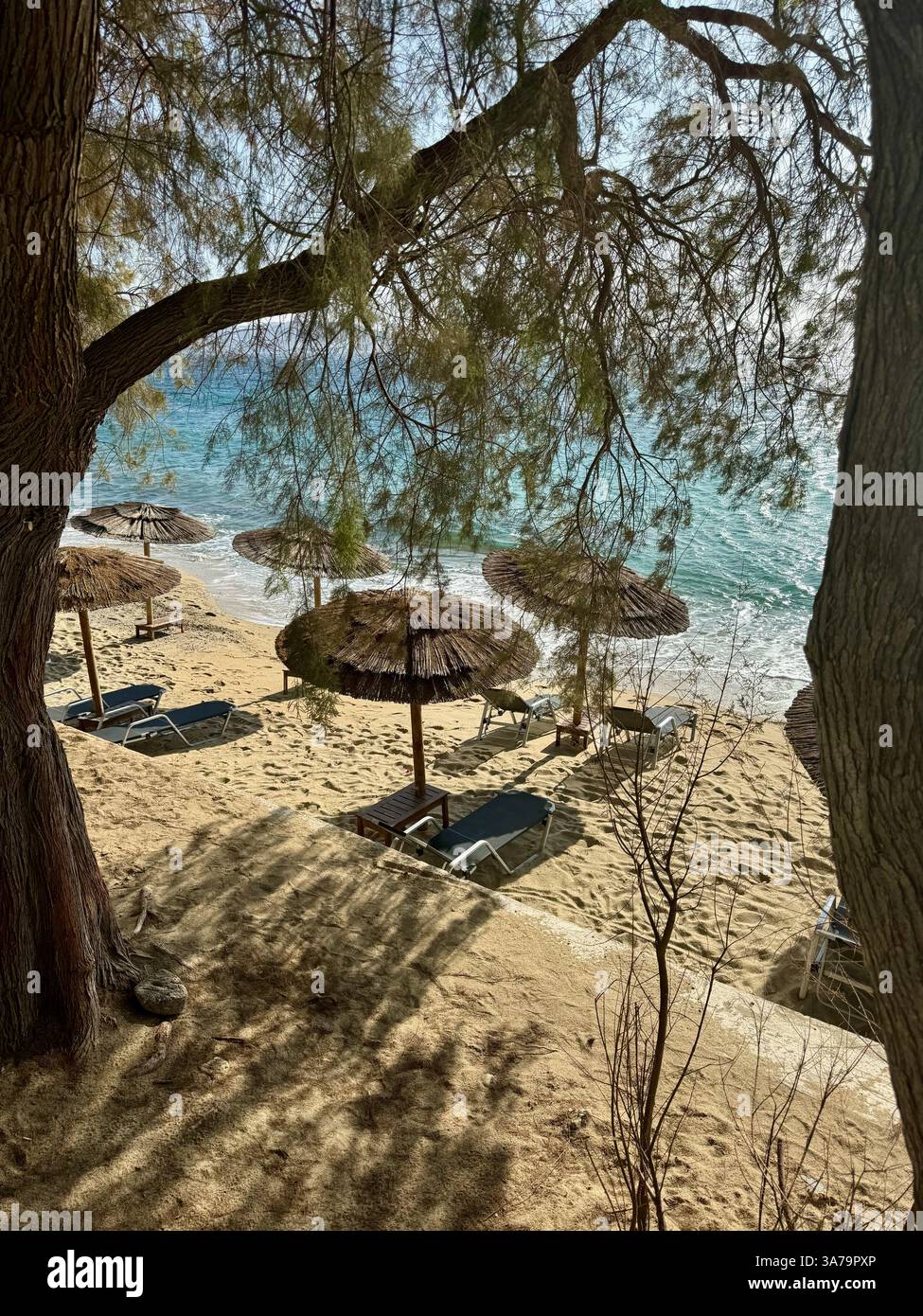An view of the empty sunloungers through shady trees at Agios Stefanos beach in Mykonos, Greece. - Smartphone Captured Stock Image