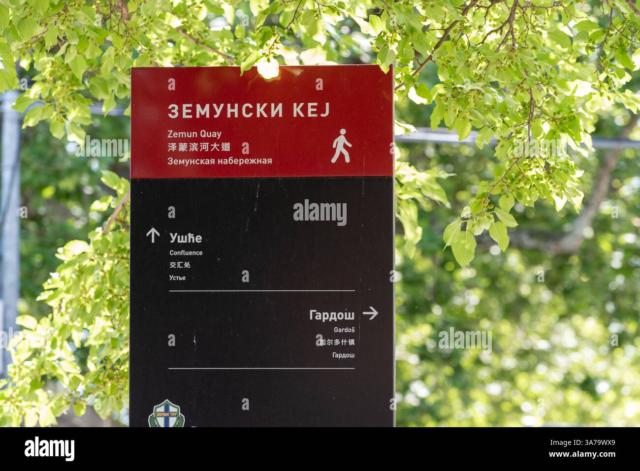 Street Sign For Zemun Quay In Belgrade Written In English Serbian And Street Sign For Zemun Quay In Belgrade Written In English Serbian And