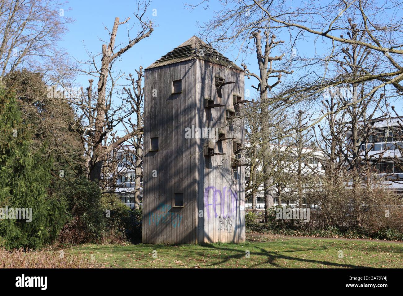 Supervised pigeon loft, in which some of the incubated eggs are ...