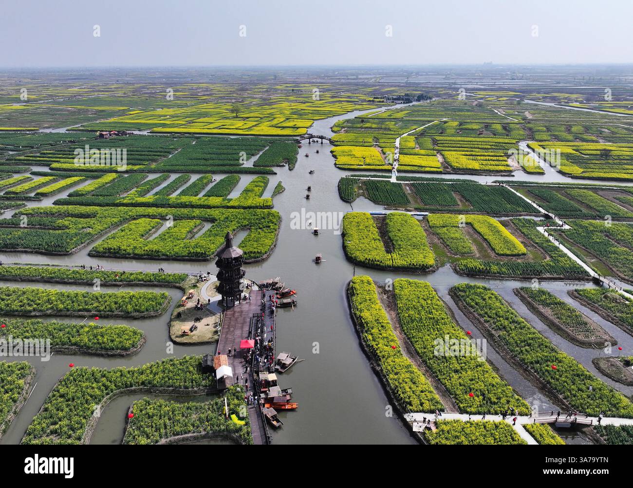 Aerial photo shows the Qianduo Cole Flower Scenic Area in Xinghua City ...