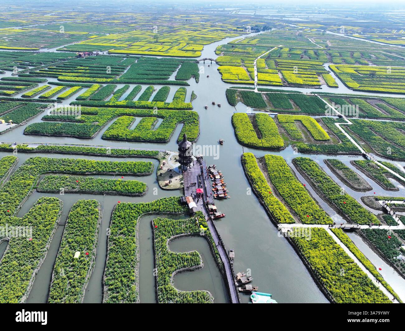 Aerial photo shows the Qianduo Cole Flower Scenic Area in Xinghua City ...