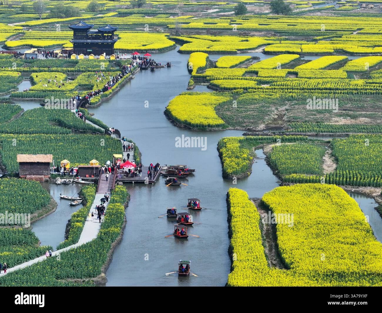 Aerial photo shows the Qianduo Cole Flower Scenic Area in Xinghua City ...