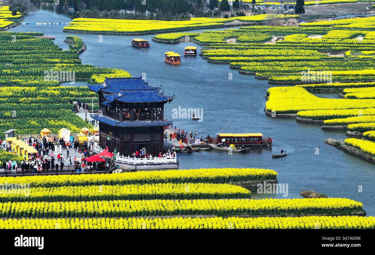 Aerial photo shows the Qianduo Cole Flower Scenic Area in Xinghua City ...