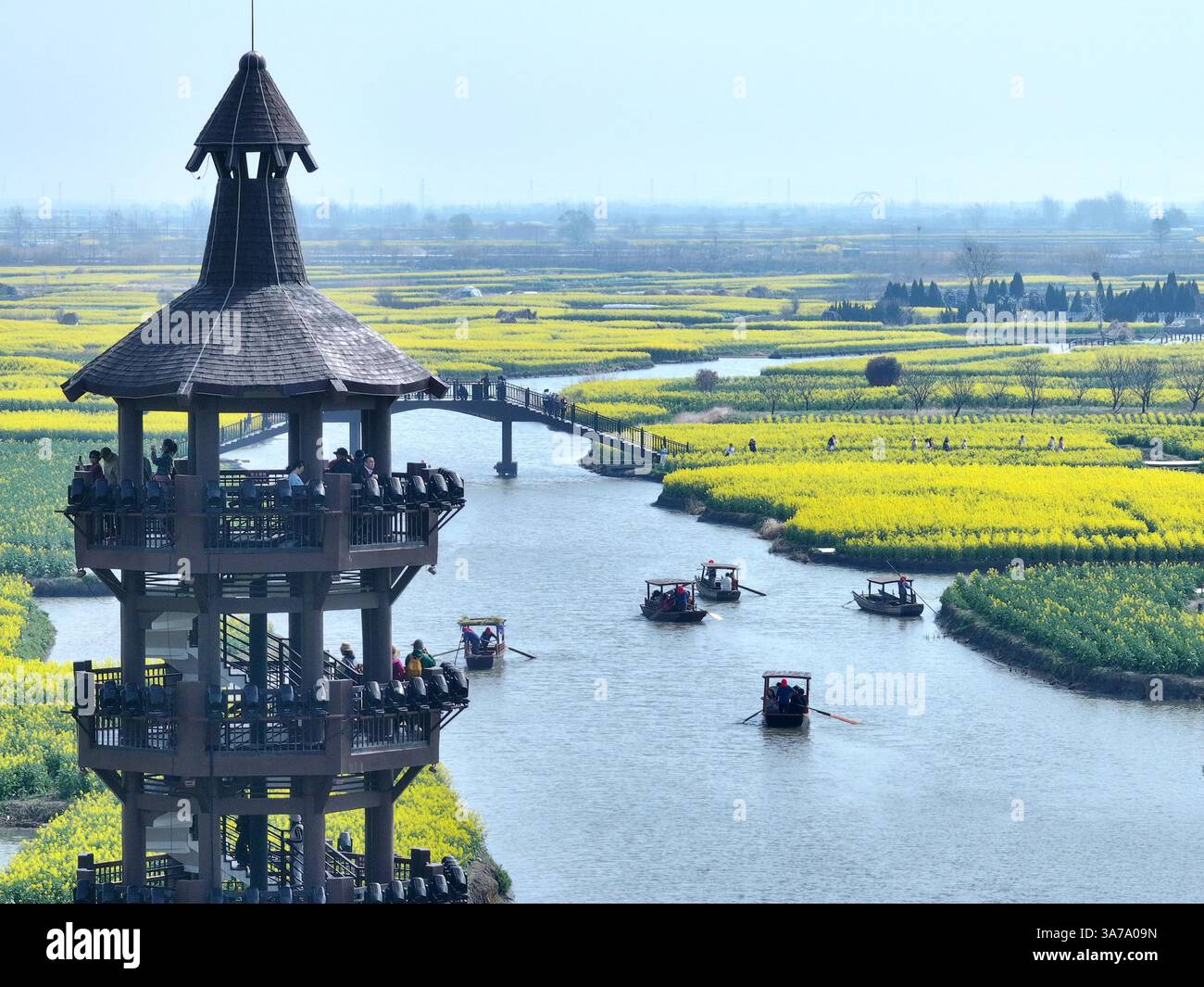 Aerial photo shows the Qianduo Cole Flower Scenic Area in Xinghua City ...