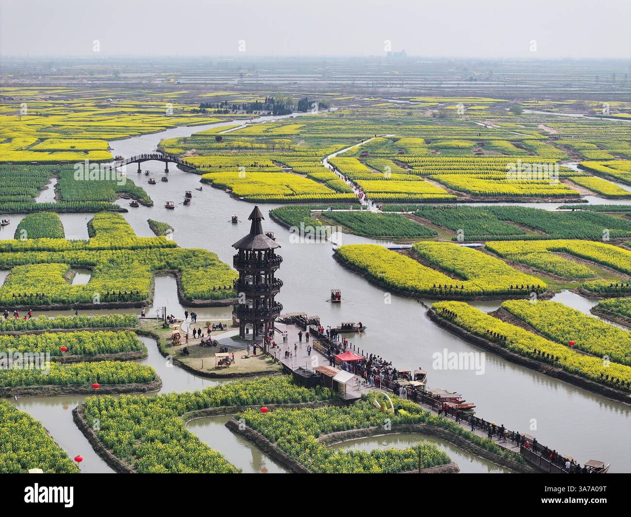 Aerial photo shows the Qianduo Cole Flower Scenic Area in Xinghua City ...