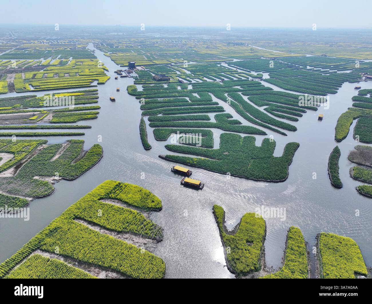 Aerial photo shows the Qianduo Cole Flower Scenic Area in Xinghua City ...