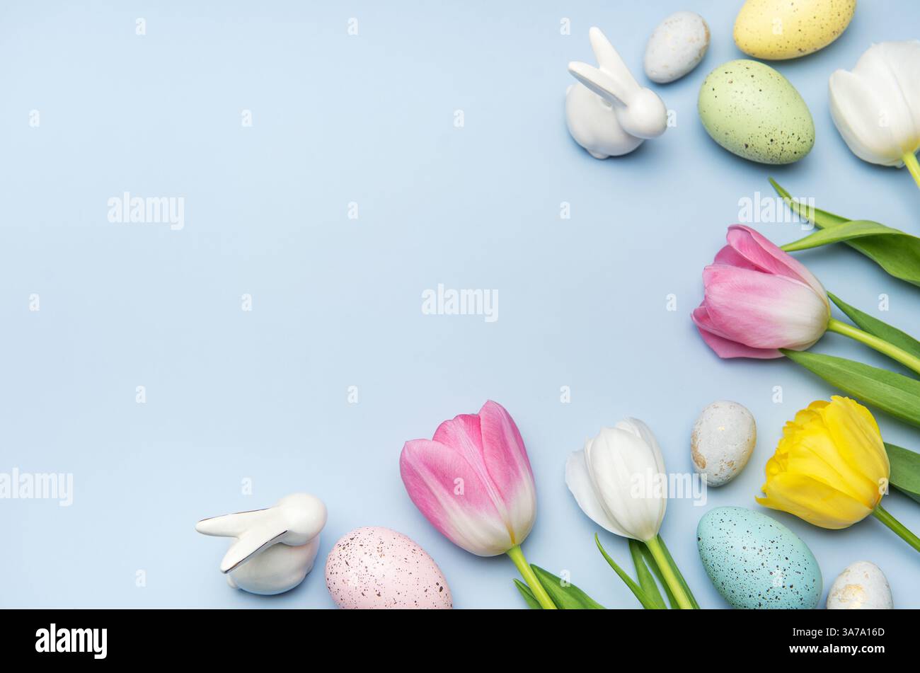 Easter eggs and colorful tulips are arranged on a light blue background ...
