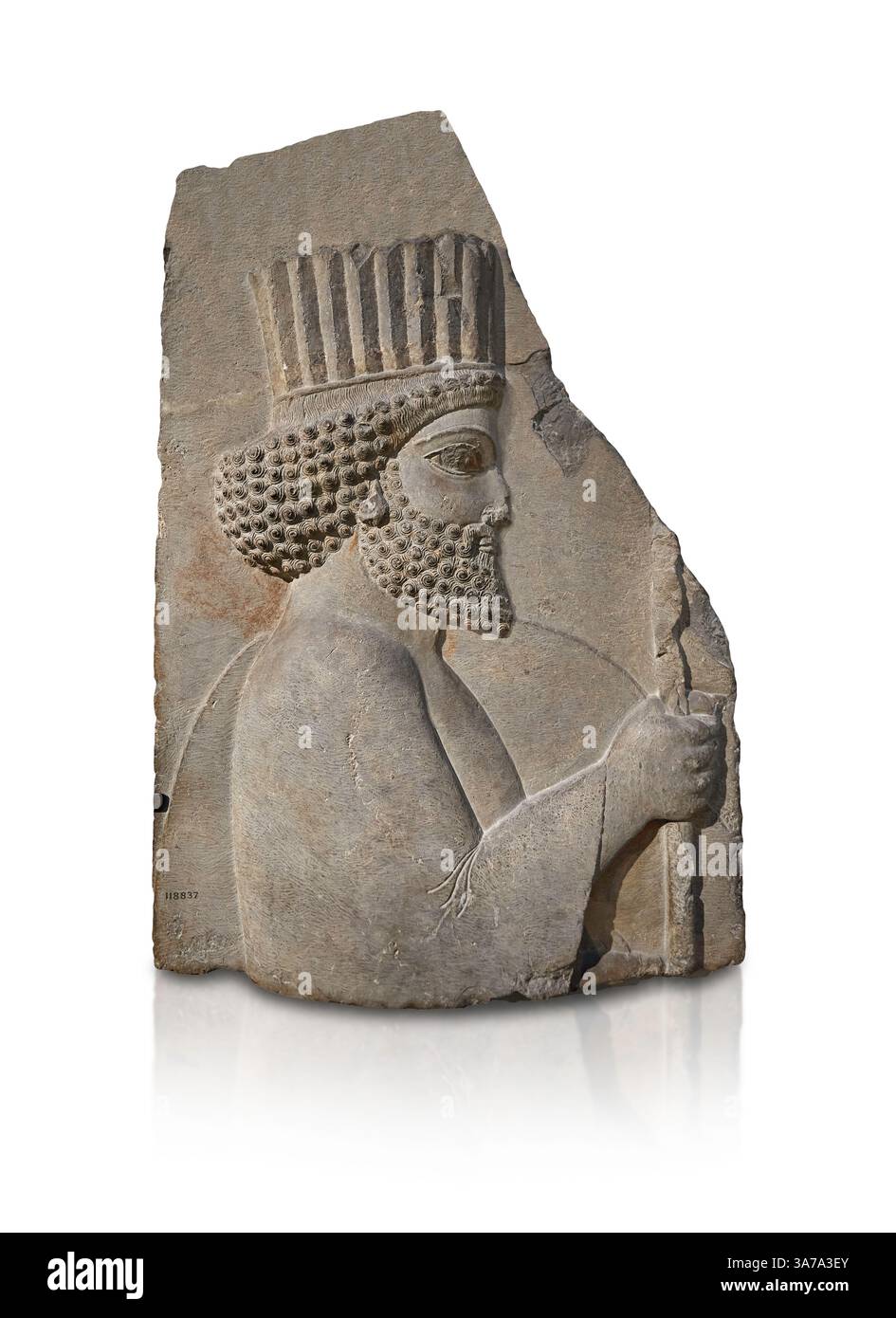 Ancient Persian Achaemenid bas relief sculpture panel showing an ancient Persian soldier carrying a spear and shield, 500-400 BC, Apadana at Persepoli Stock Photo