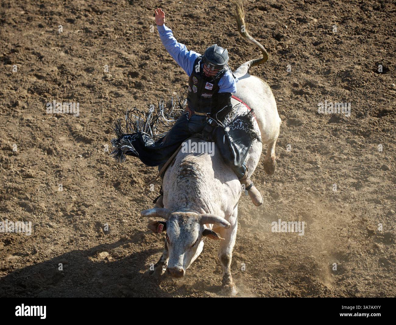 Melstone hi-res stock photography and images - Alamy