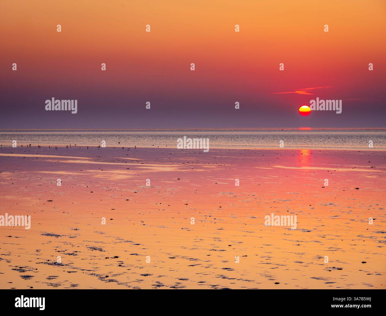Wadden Sea mudflats at Kimstergat, Friesland, Netherlands, reflecting serene sunset during low tide in Unesco World Heritage coastal wetlands Stock Photo