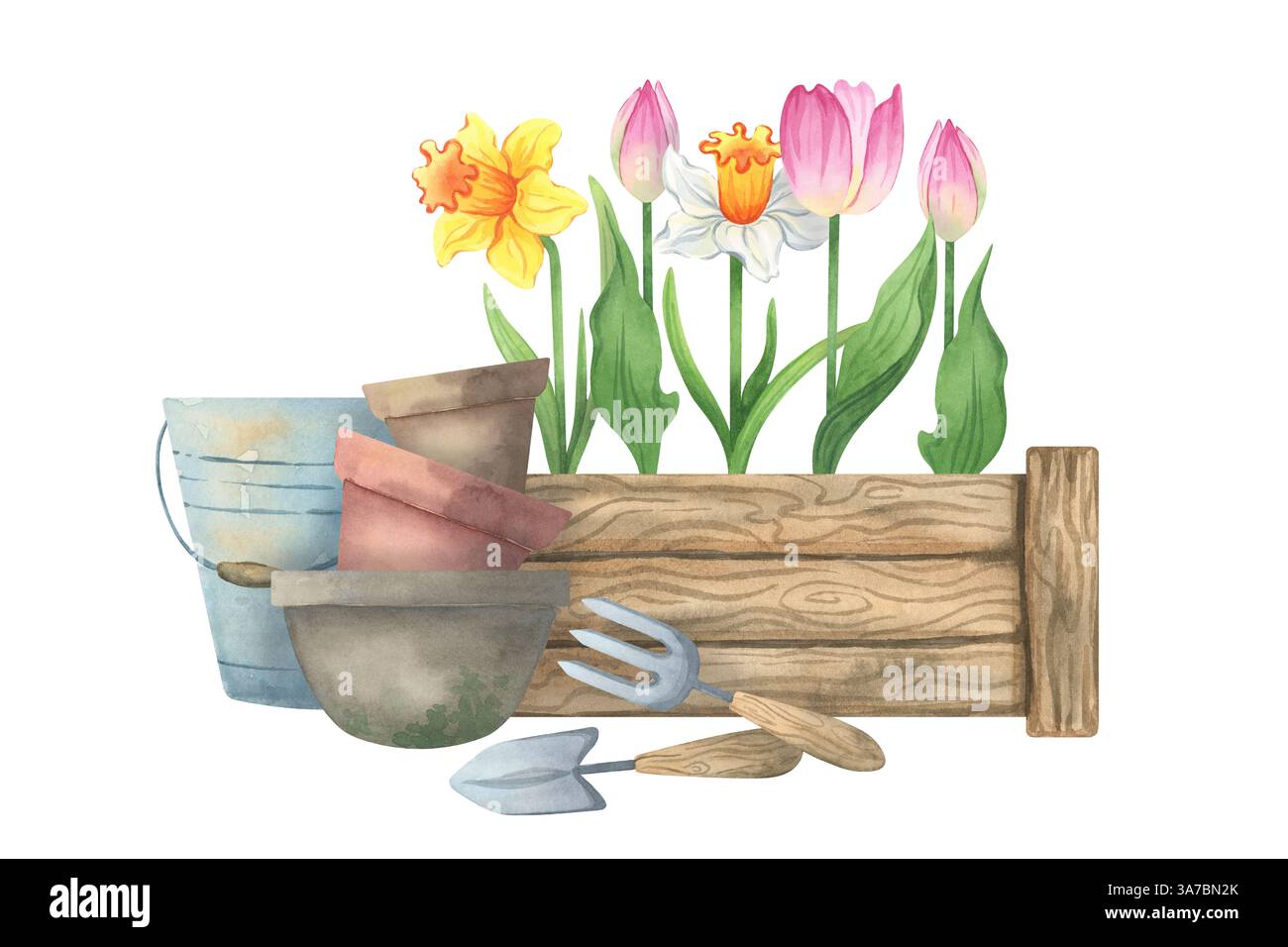 Watercolor gardening tools and spring flowers: tulips, daffodils ...
