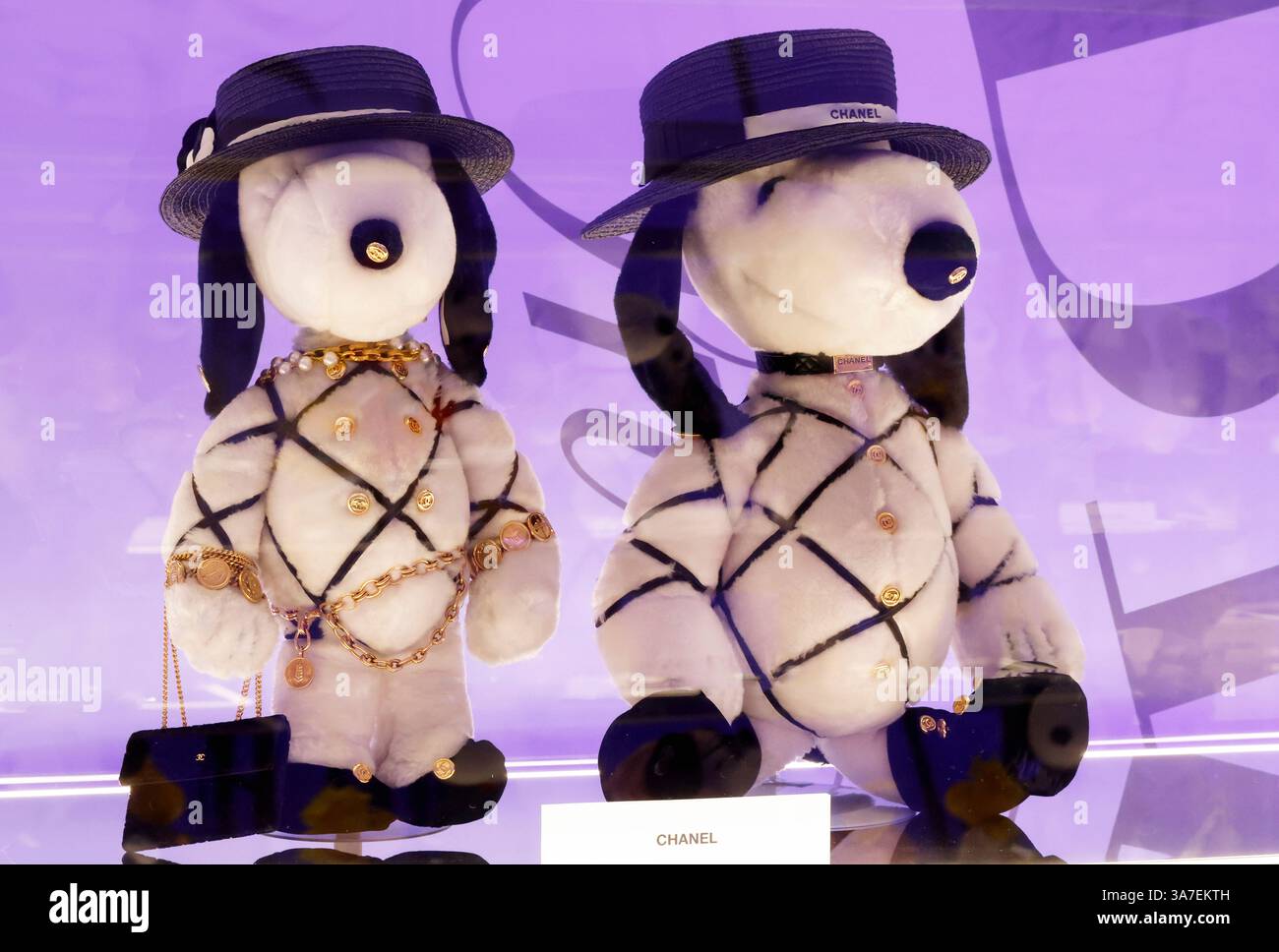 Chanel dog hi-res stock photography and images - Alamy