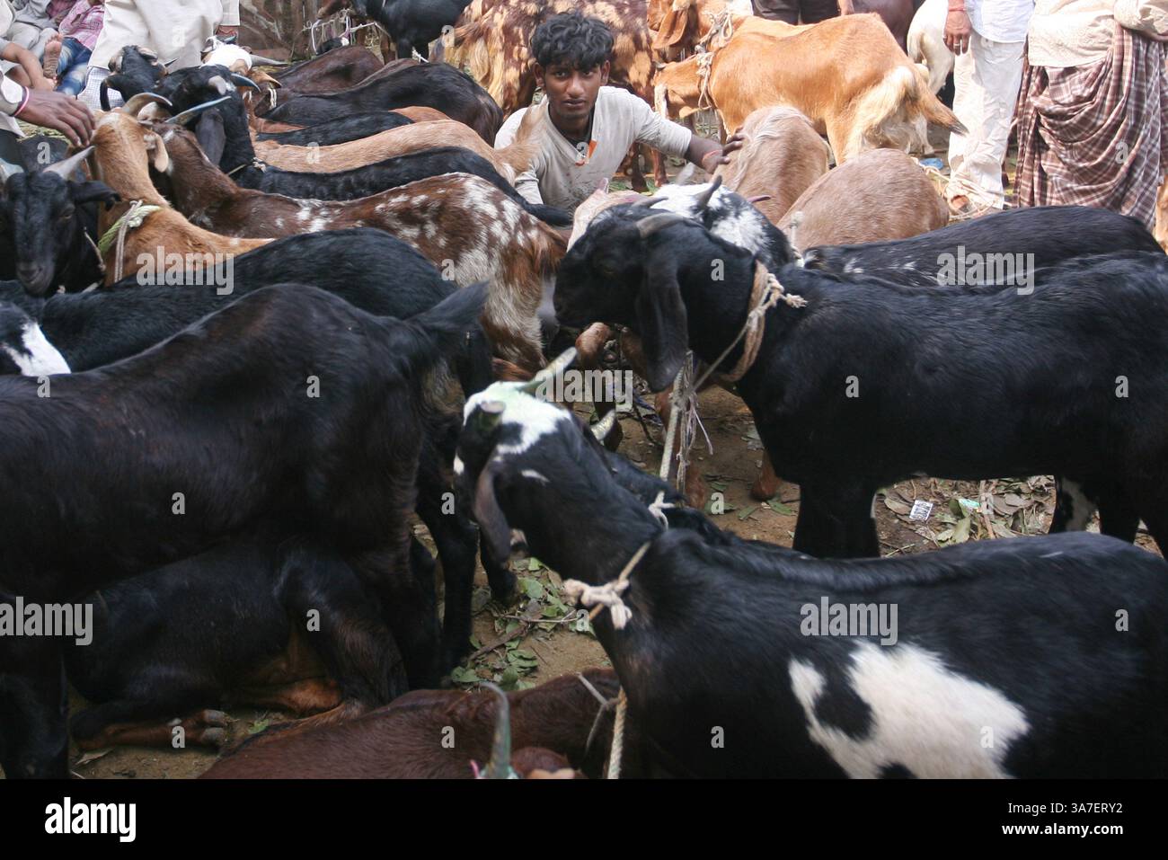 Indian muslim merchant hi-res stock photography and images - Alamy