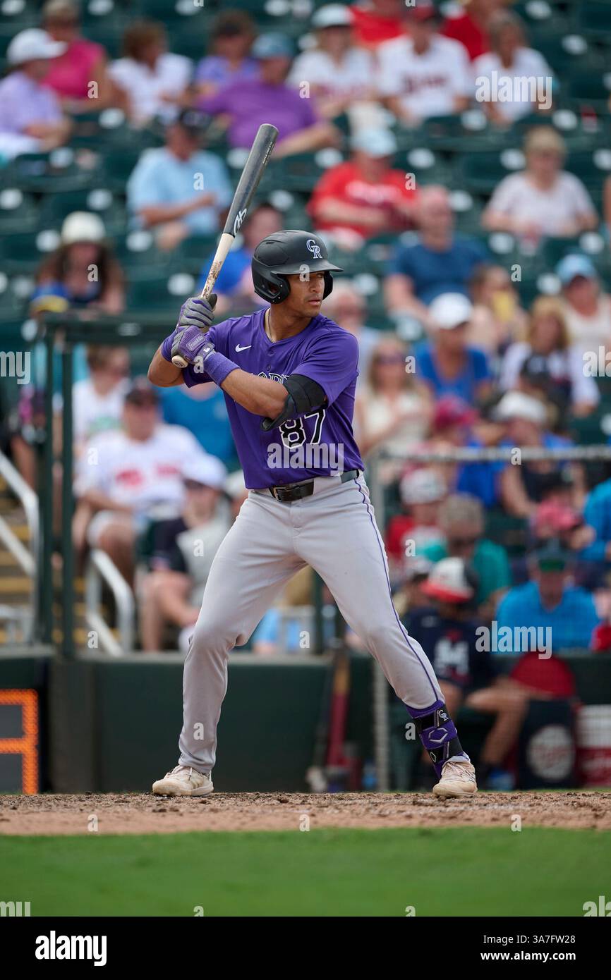 Colorado Rockies Ryan Ritter (87) at bat during an MLB Spring Training ...