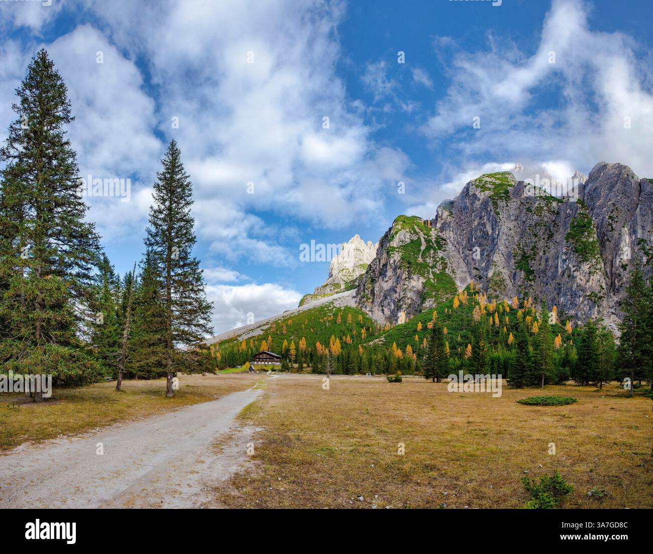 Drei Schuster Hütte in het Innerfeldtal, mountain Steinalpturm, Dreischusterspitze, Innichen,  , Italy, landscape, field, meadow, trees, autumn, mount Stock Photo