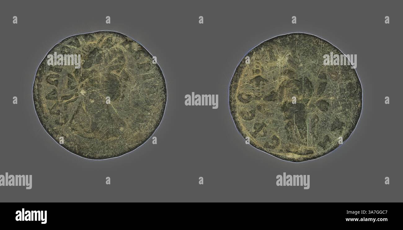 Two ancient coins are displayed side by side, showing intricate designs ...