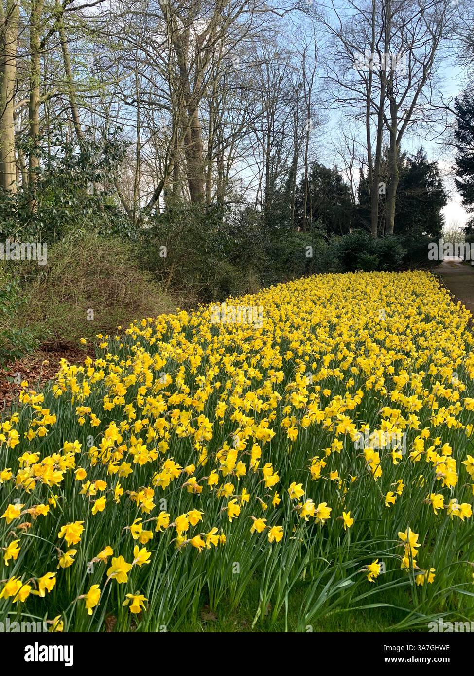 Anglesey Abbey gardens garden Cambridgeshire life weather National Trust family day out English Countryside weather nice place walks walking outside - Smartphone Captured Stock Image