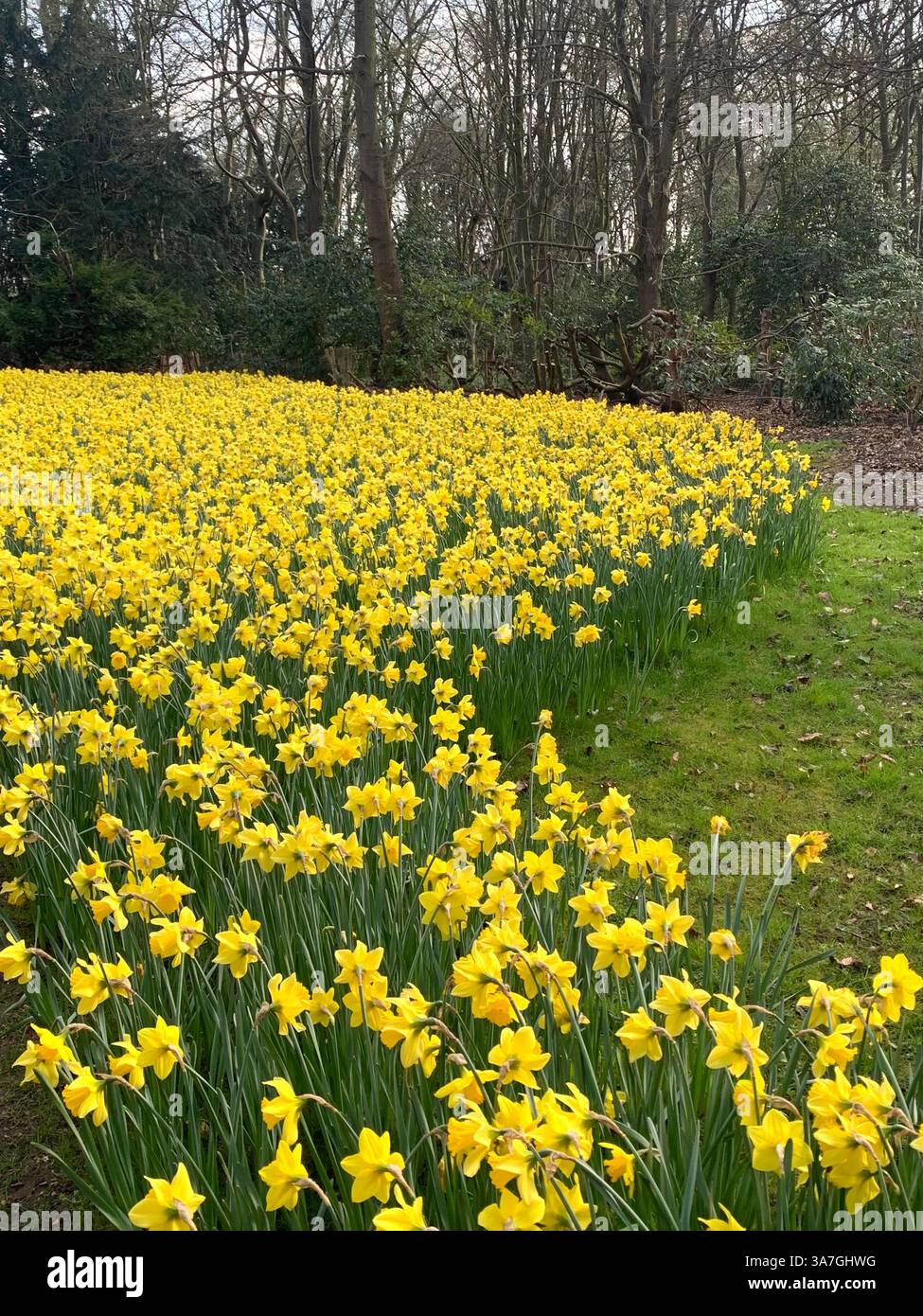 Anglesey Abbey gardens garden Cambridgeshire life weather National Trust family day out English Countryside weather nice place walks walking outside - Smartphone Captured Stock Image