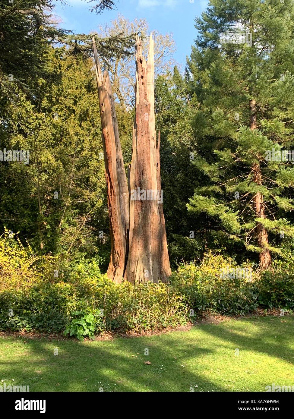 Anglesey Abbey gardens garden Cambridgeshire life weather National Trust family day out English Countryside weather nice place walks walking outside - Smartphone Captured Stock Image