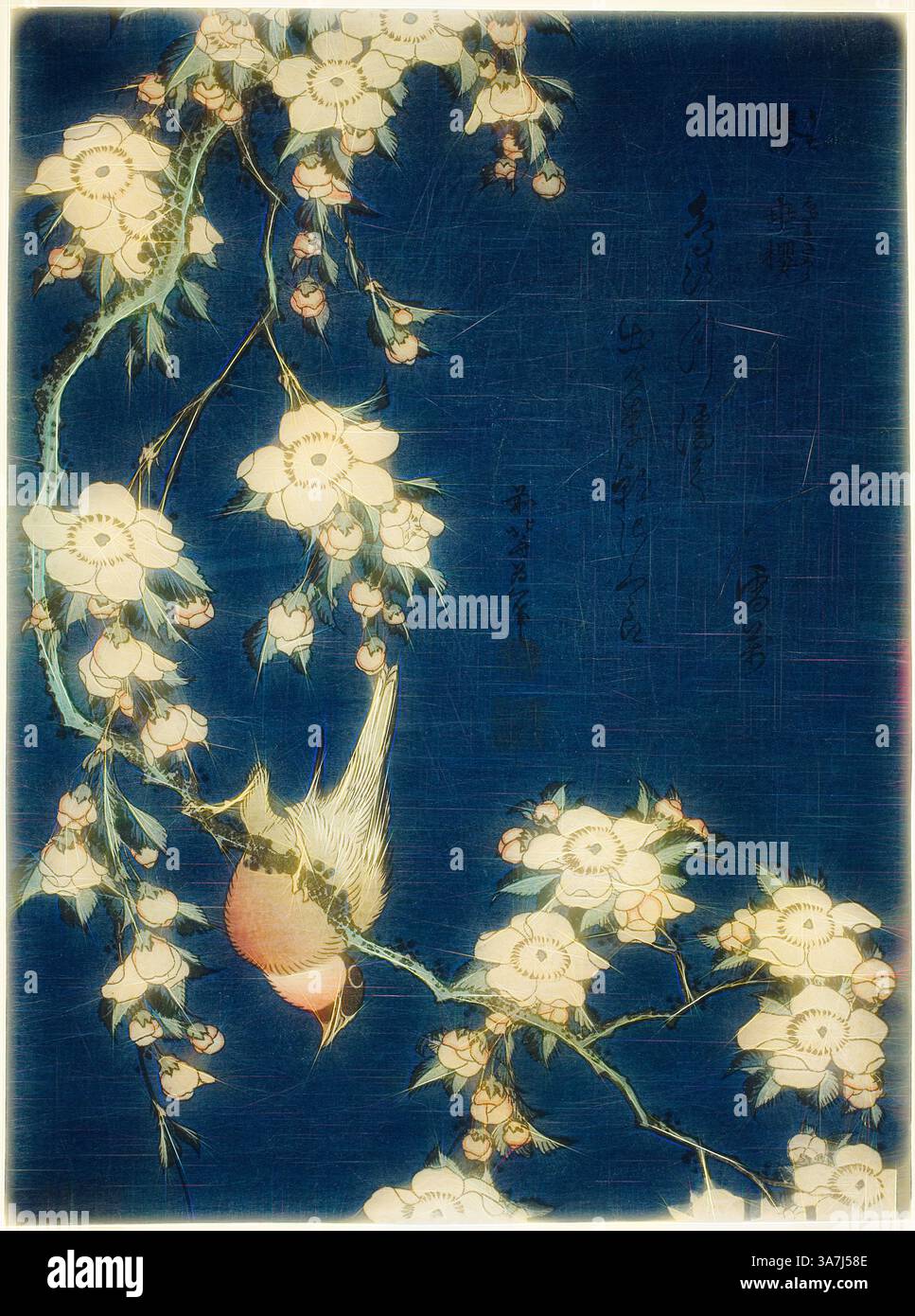 Amazon.com: THE BLEND 2 Coffee-Kizoku ART WORKS (Japanese