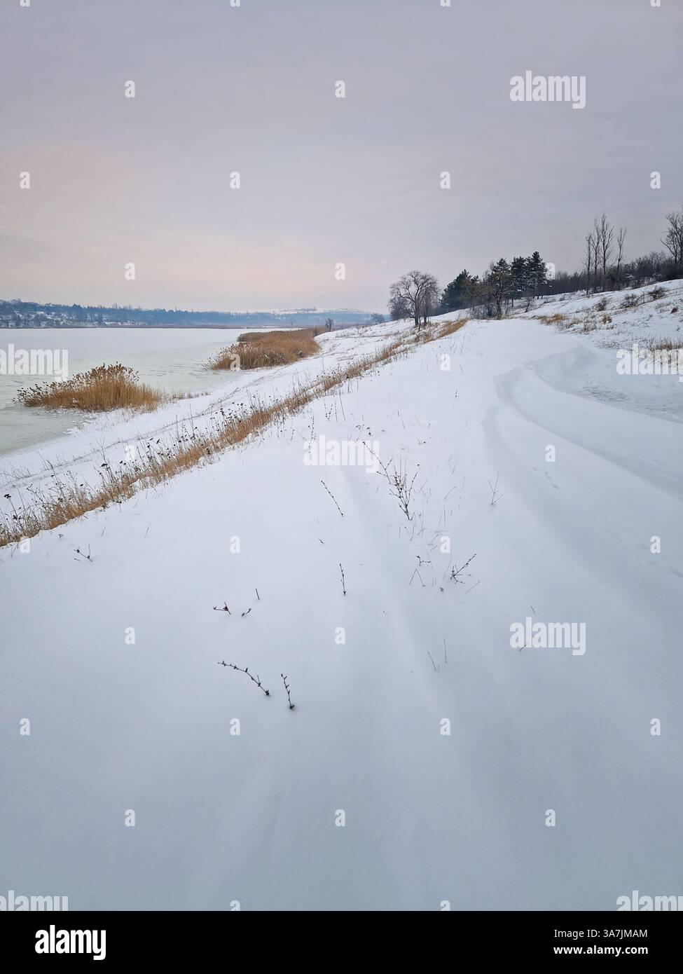 Winter landscape with snowdrifts near the forest and the frozen lake - Smartphone Captured Stock Image