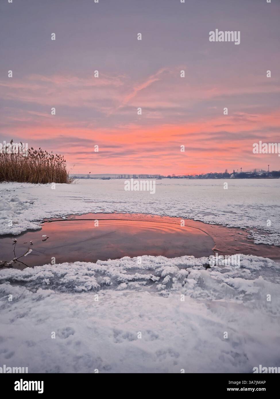 Pink winter sunset over the frozen lake in a snowy day - Smartphone Captured Stock Image