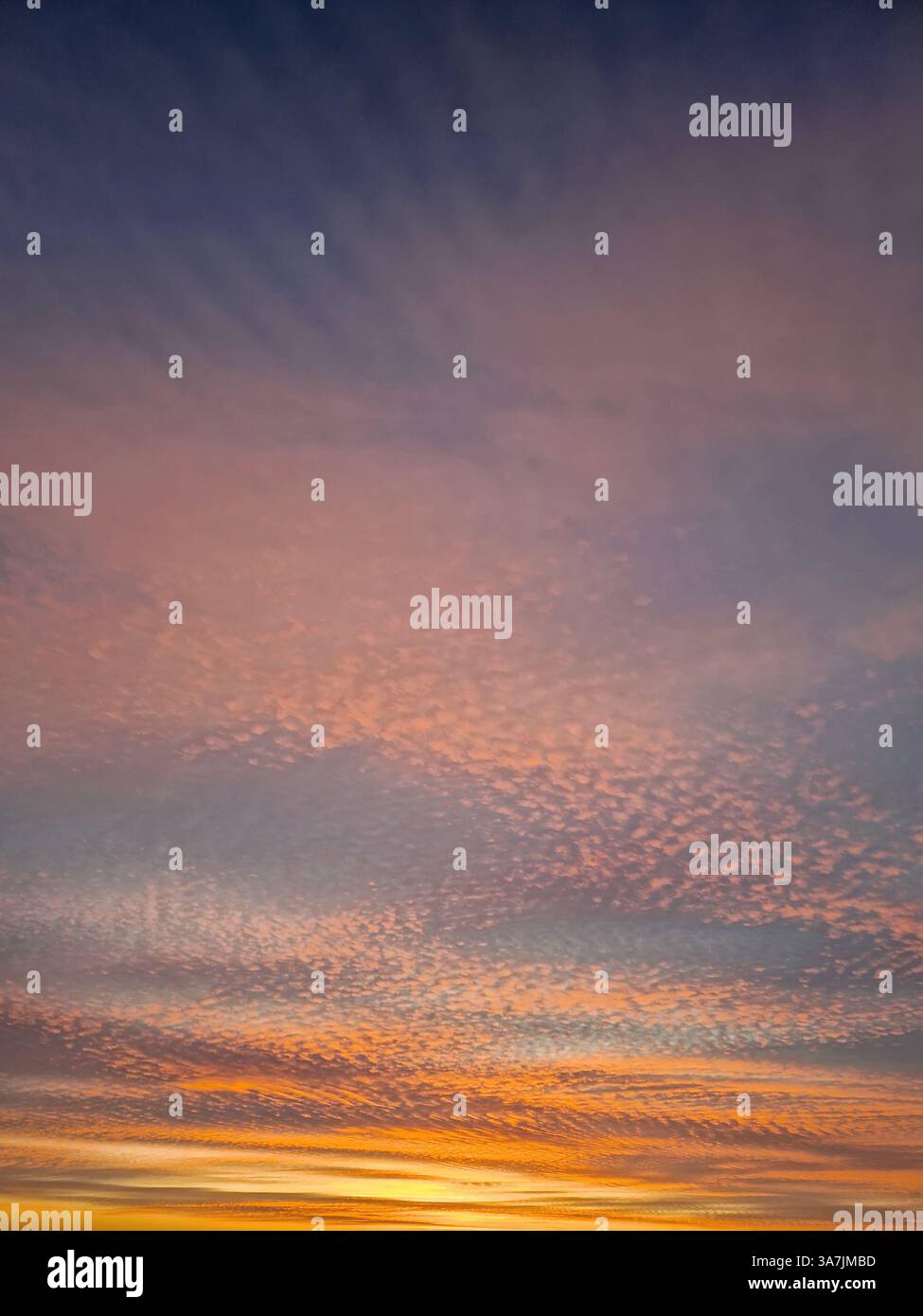 Wonderful winter sunset background. Colorful sundown clouds texture - Smartphone Captured Stock Image