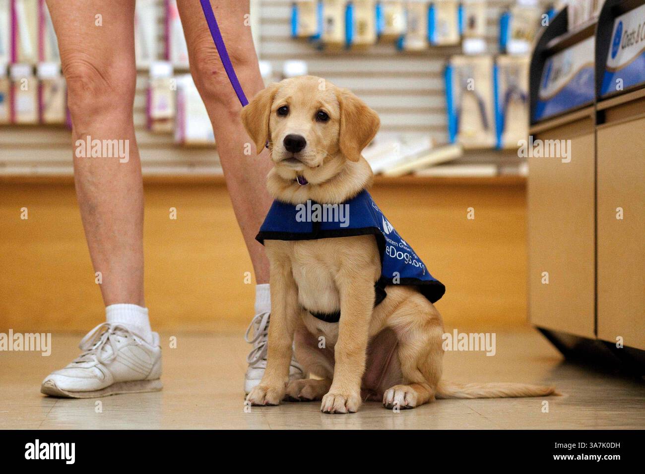 Guide Dog Ranger Southeastern Guide Dogs Logo