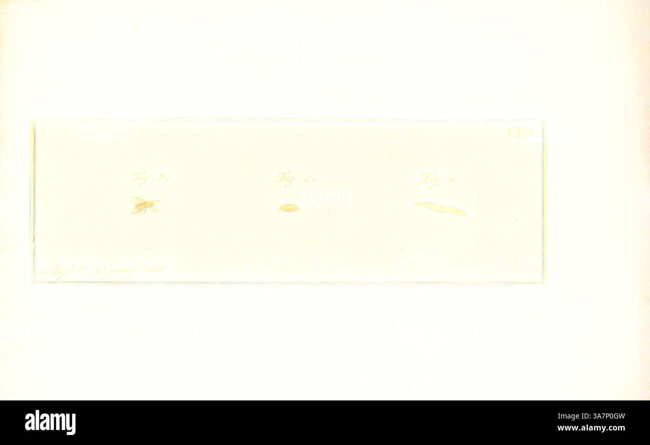 Three distinct figures labeled hi-res stock photography and images - Alamy