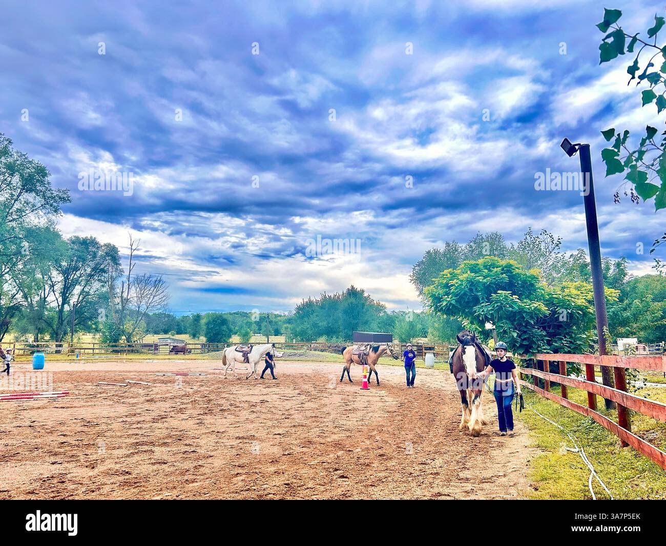 Walk In Rider Small Group Walk Horses in Outdoor Riding Arena Stock Photo - Alamy