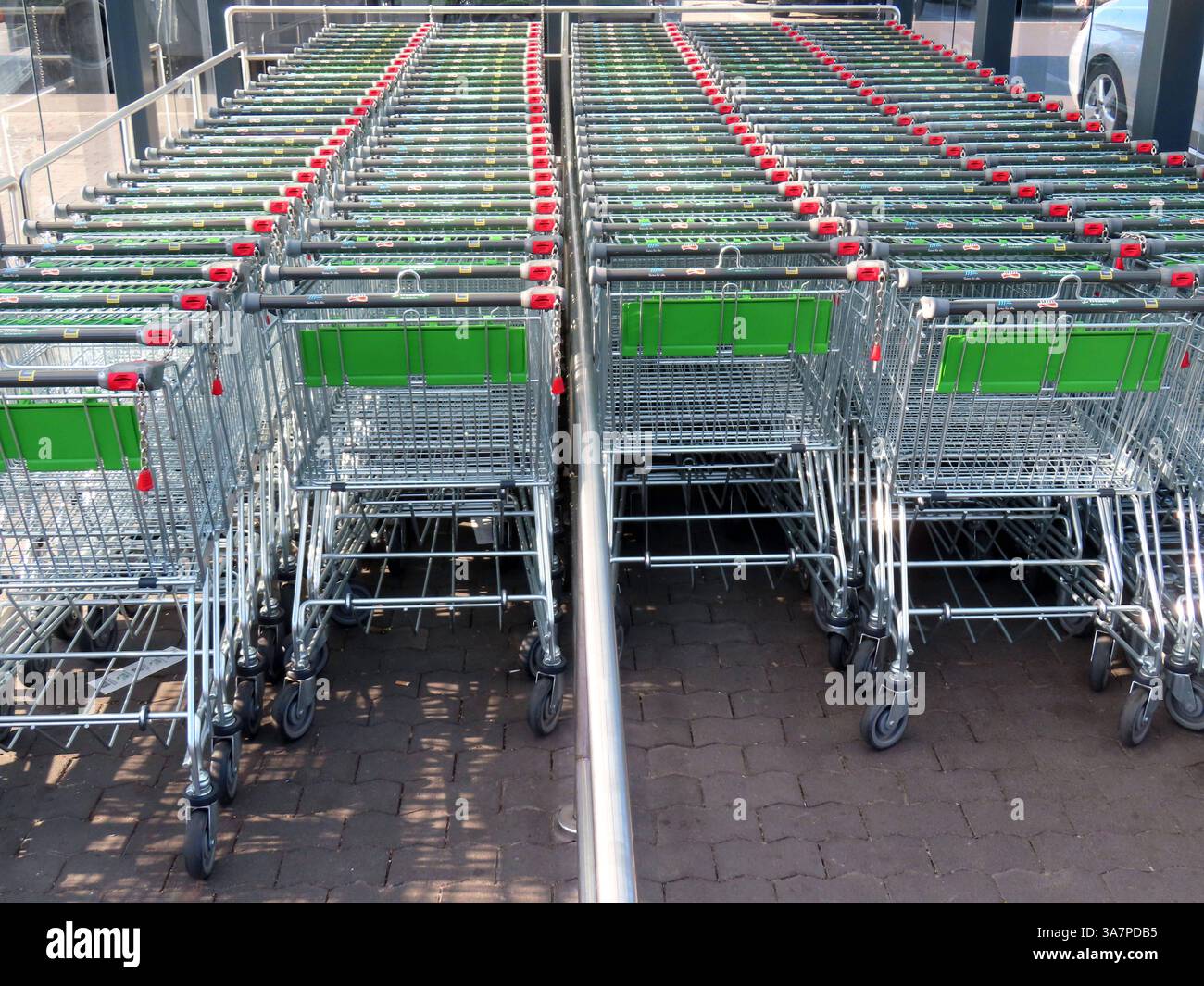...fleißige Helfer bringen auch die benutzten Einkaufswagen zu ihren Stellplaetzen zurueck, damit nachfolgende Kunden einen leeren Wagen nutzen koennen... Einkaufswagen in Reih und Glied *** hard-working helpers also return the used shopping carts to their parking spaces so that subsequent customers can use an empty trolley Shopping carts in a row Stock Photo
