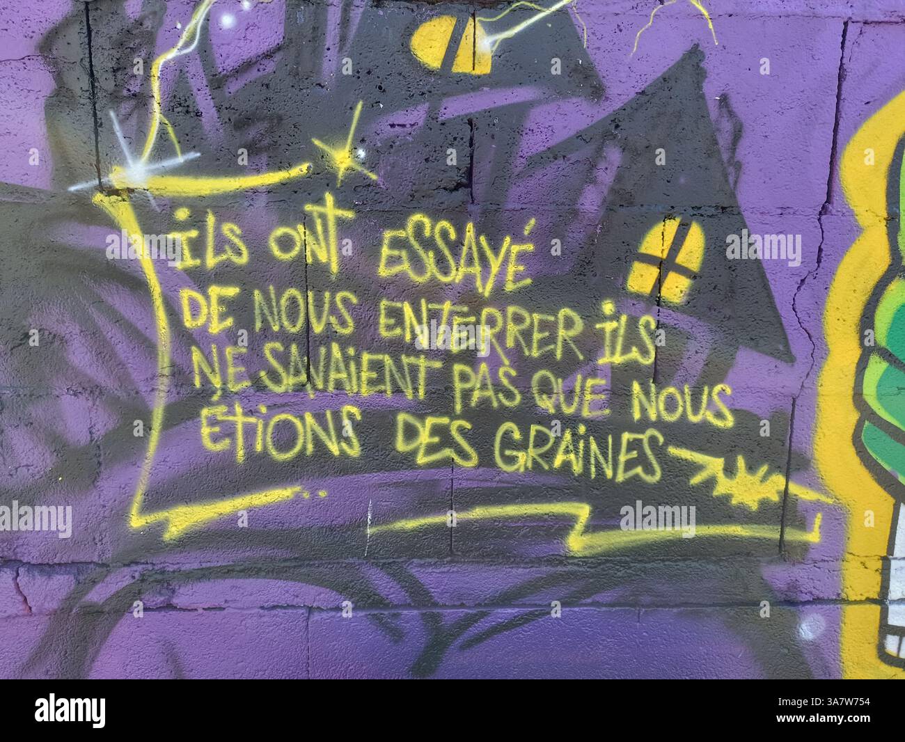 France Ile-de-France Val-de-Marne Gentilly : tag sur un mur 'ils ont essaye de nous enterrer, ils ne savaient pas que nous etions des graines' Stock Photo