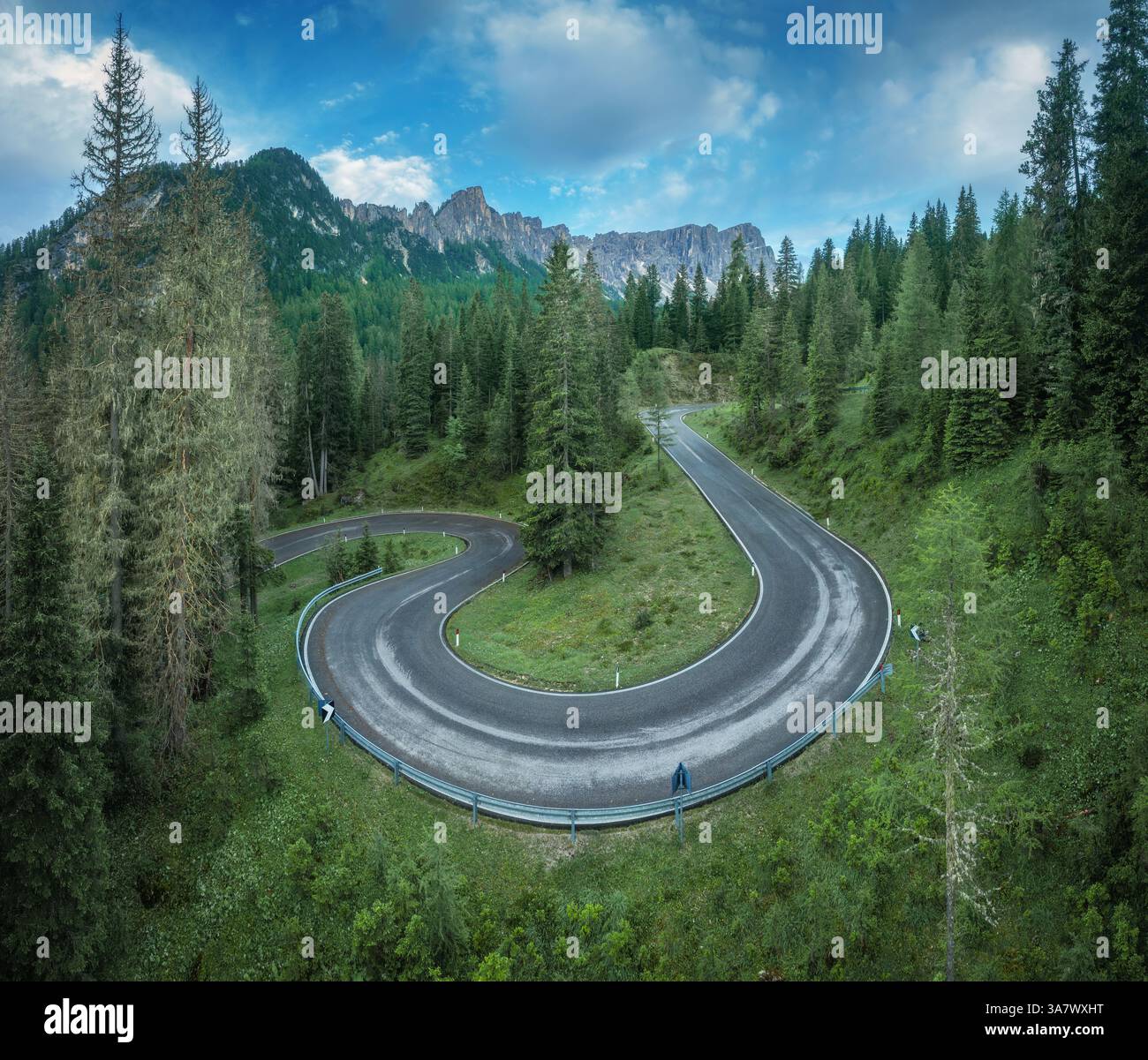 Aerial view of curvy road and green forest in alpine mountains in ...